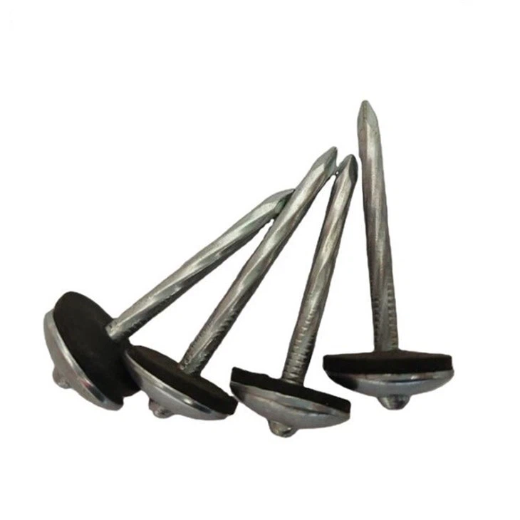 Galvanzied Roof Screw Nail
